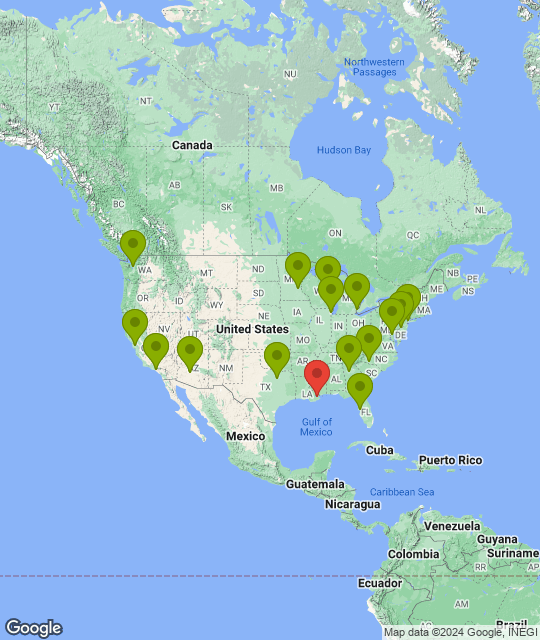 New Orleans Saints_league.png